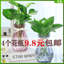 创意玻璃花瓶透明彩色 绿萝观音竹植物水培花瓶 风信子插花瓶摆件