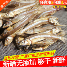 北海海燕鱼干货 小鱼干小鱼仔银鱼干海鱼干 自晒海鲜年货特产500g