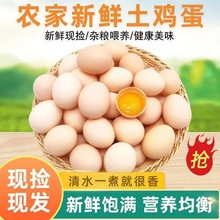 农村散养土鸡蛋自家2000亩水稻田间放养柴鸡蛋现捡现发新鲜鲜鸡蛋