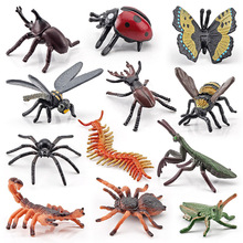 跨境仿真大自然昆虫动物模型独角仙瓢虫蝴蝶狼蛛锹形虫摆件玩具