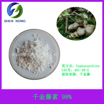 千金藤素98%千金藤提取物 cepharanthine 481-49-2 hplc测 10g/袋
