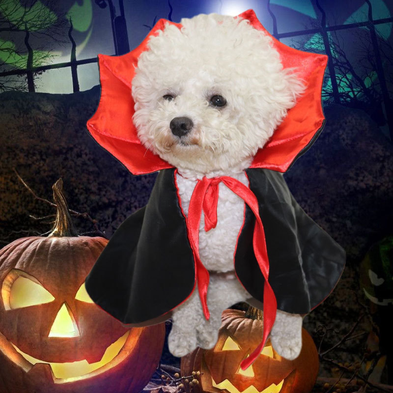 Cross-Border New Arrival Halloween Pet Cat Dog Dog Cloak Decoration Transformation Witch Clothes Festival Funny Supplies