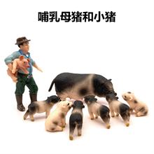 仿真实心动物 猪模型母猪 哺乳母猪和小猪套装儿童玩具猪摆件模型
