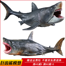 海洋生物史前巨齿鲨模型动物大白鲨玩具双髻鲨锤头鲨儿童礼绢