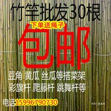 小竹子细竹竿菜园搭架户外篱笆豆角架竹棍2米彩旗杆跳舞竿粗大竹