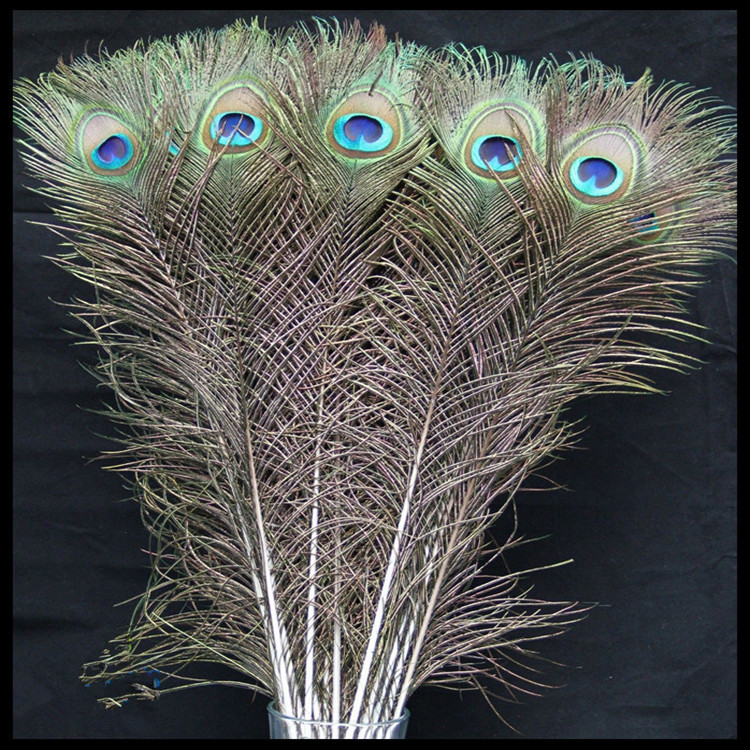 蓝孔雀羽毛多少钱一根 孔雀养殖场出售蓝孔雀羽毛 孔雀标本-阿里巴巴