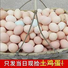 【40枚装】农家散养正宗大个土鸡蛋10-40枚新鲜笨鸡蛋整箱包邮