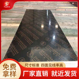 覆膜建筑模板  桉木片 整芯整板 两次成型木模板 质量保证