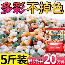 天然五彩石雨花石五花石铺底砂多肉铺面石鹅卵石造景鱼缸彩色石子