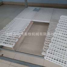 肉鸡用漏粪板子 鸭棚用漏粪网 育雏板网厂家