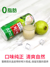 红心芭乐汁白心番石榴汁饮料水果味巴乐汁整箱福建漳州特产