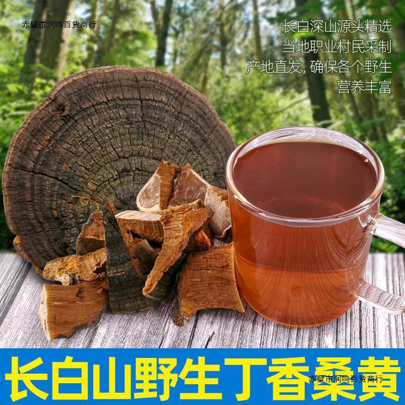 野生桑黄东北长白山养生山货整枝可切片暴马丁香桑黄桑黄菌-阿里巴巴