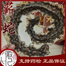 蕲蛇 级材蕲蛇干 五步蛇3.5 元1克 蕲蛇包邮