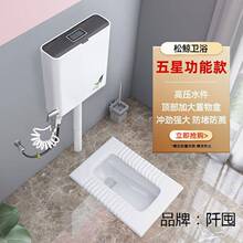 厕所家用陶瓷蹲便器冲水箱套装防臭马桶S弯蹲坑式大便器大号便盆