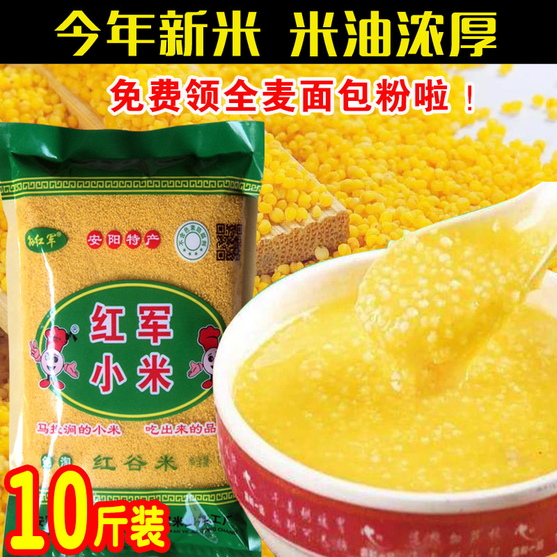 河南安阳特产红军小米马投涧红谷黄小米新米特级月子米10斤包邮