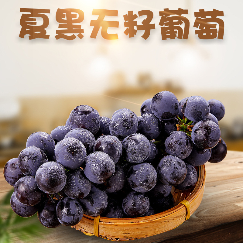 云南夏黑葡萄新鲜当季孕妇新鲜水果黑珍珠加仑提子无籽整串非巨峰