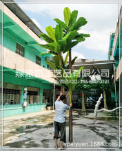 仿真植物旅人蕉假树室内客厅大型仿生绿植盆栽芭蕉树落地盆景摆件