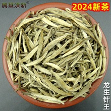 2024年新茶茉莉花茶叶茶芽云南元江茉莉白毫银针浓香茉莉毛尖