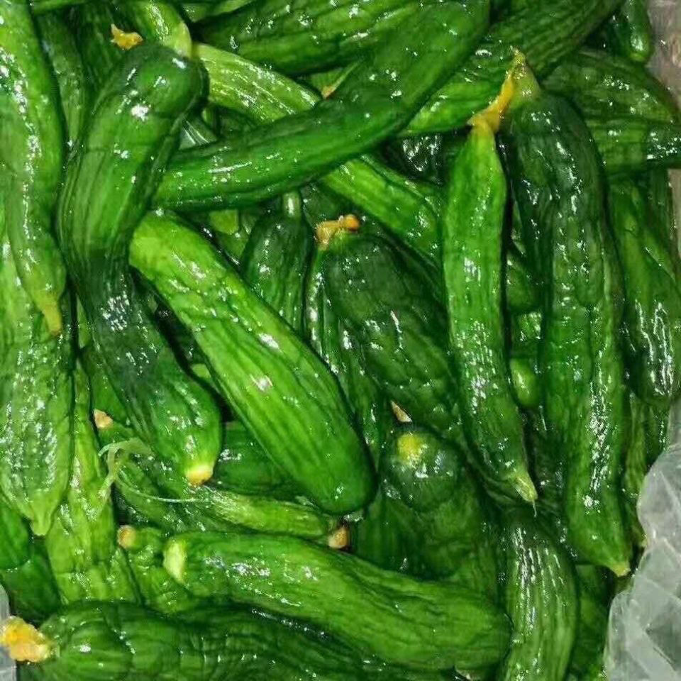 正宗小黄瓜咸菜鲜脆可口小咸菜自家腌制黄瓜咸菜500克批发代发
