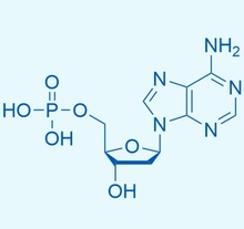 脱氧腺苷酸,dAMP Cas号：653-63-4 2'-脱氧腺苷-5'-单磷酸