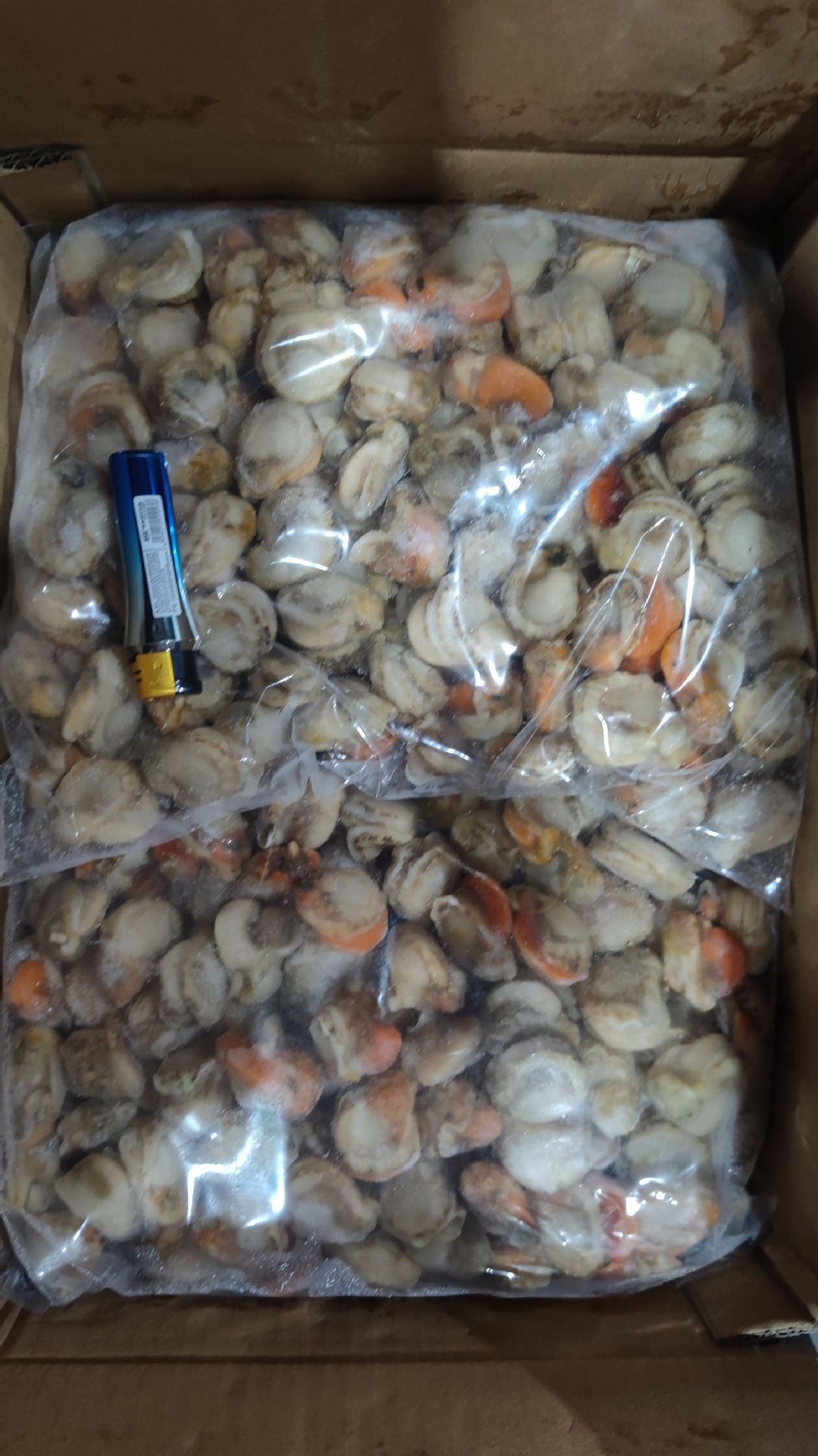 冻煮扇贝肉1袋6斤2袋件元贝肉毛贝肉酒店食材