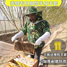养蜂取蜂蜜羊皮手套加厚透气防蜂蛰帆布手套专用养蜂工具