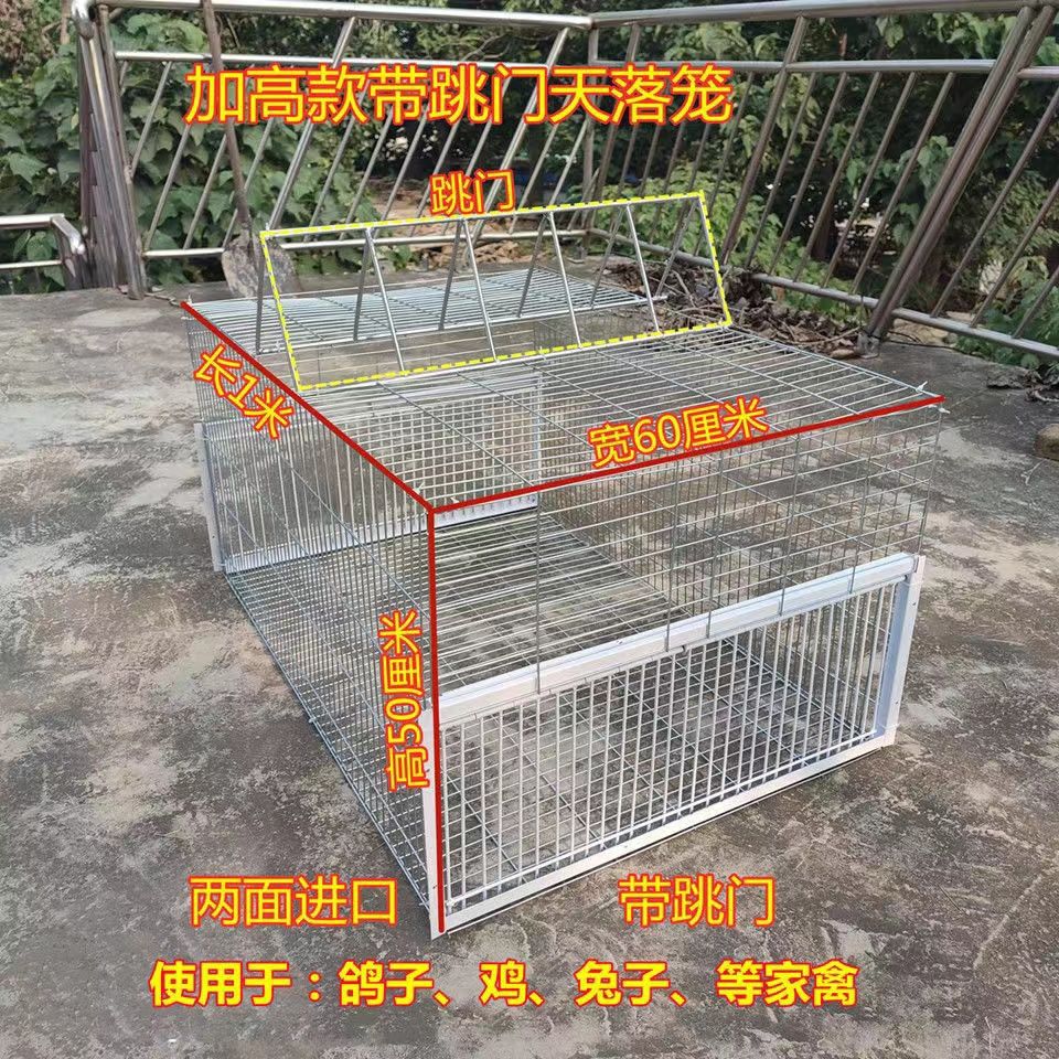 天落笼四面埋伏只进不出全自动捕抓鸽子神器养殖笼天落鸽子笼加密