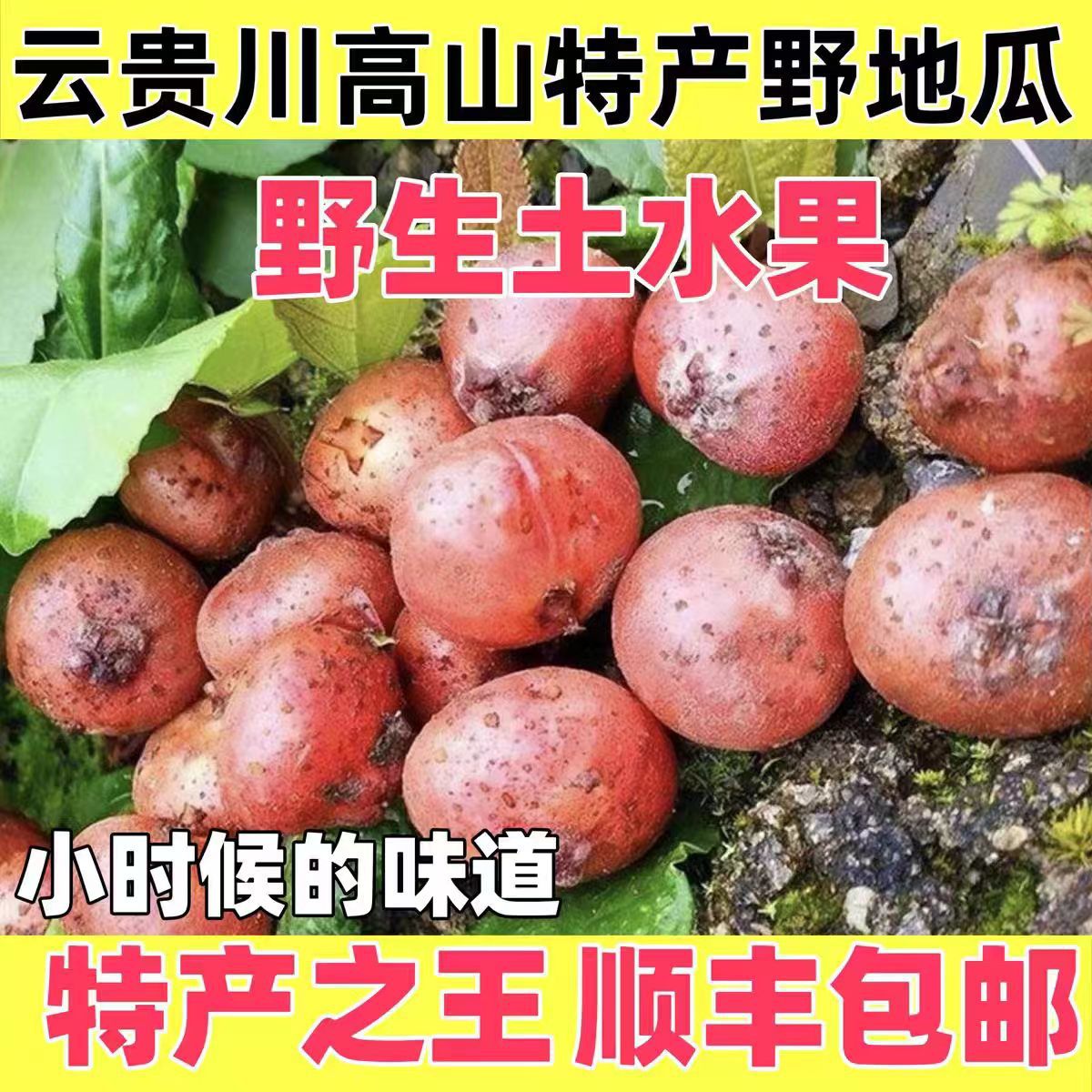 正宗贵州野地瓜新鲜水果地石榴顺丰包邮地枇杷地方特产送人送礼品