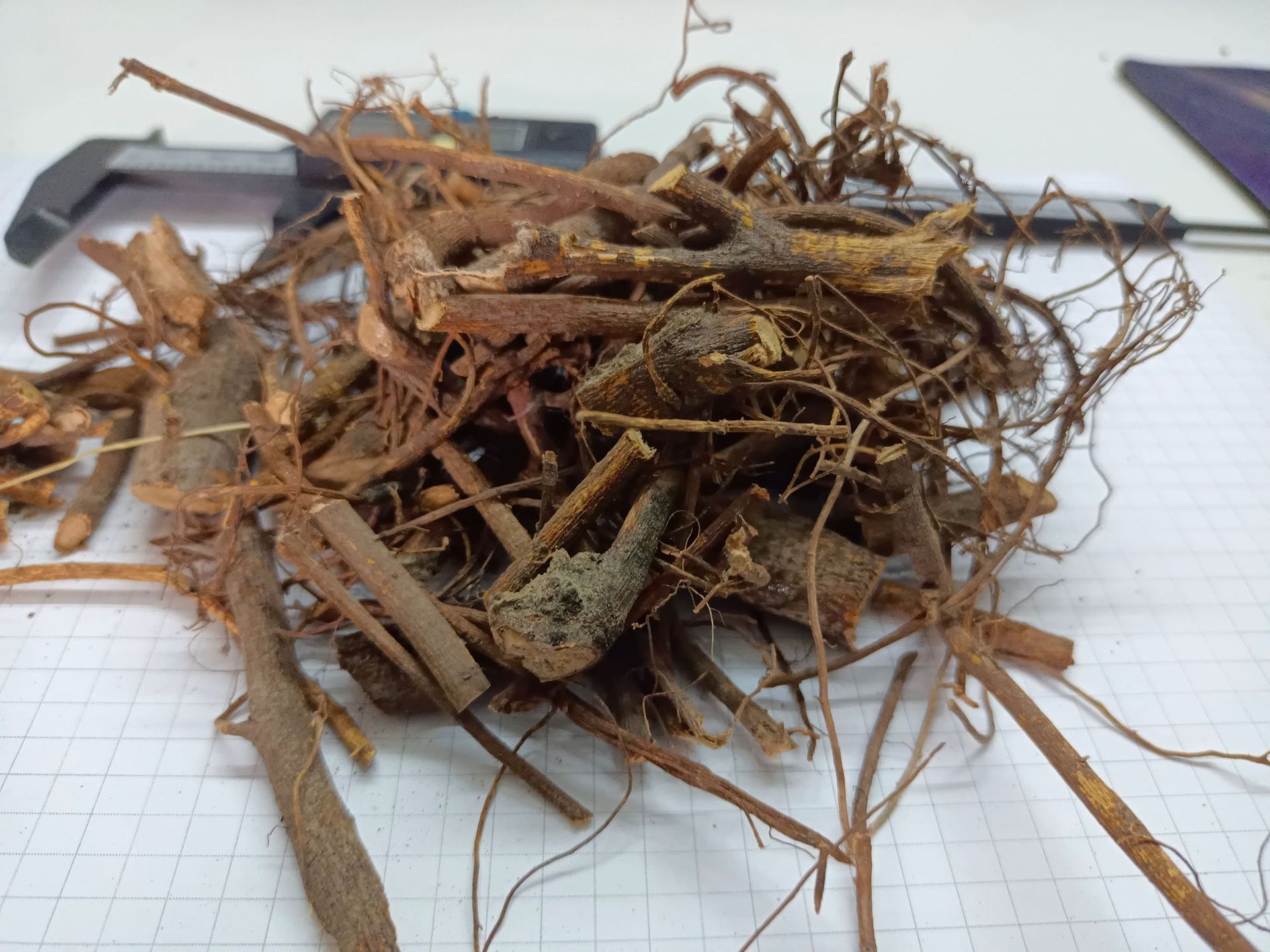 无花果根wuhuaguogen产地福建古田7月产新45元每公斤包邮无花果根