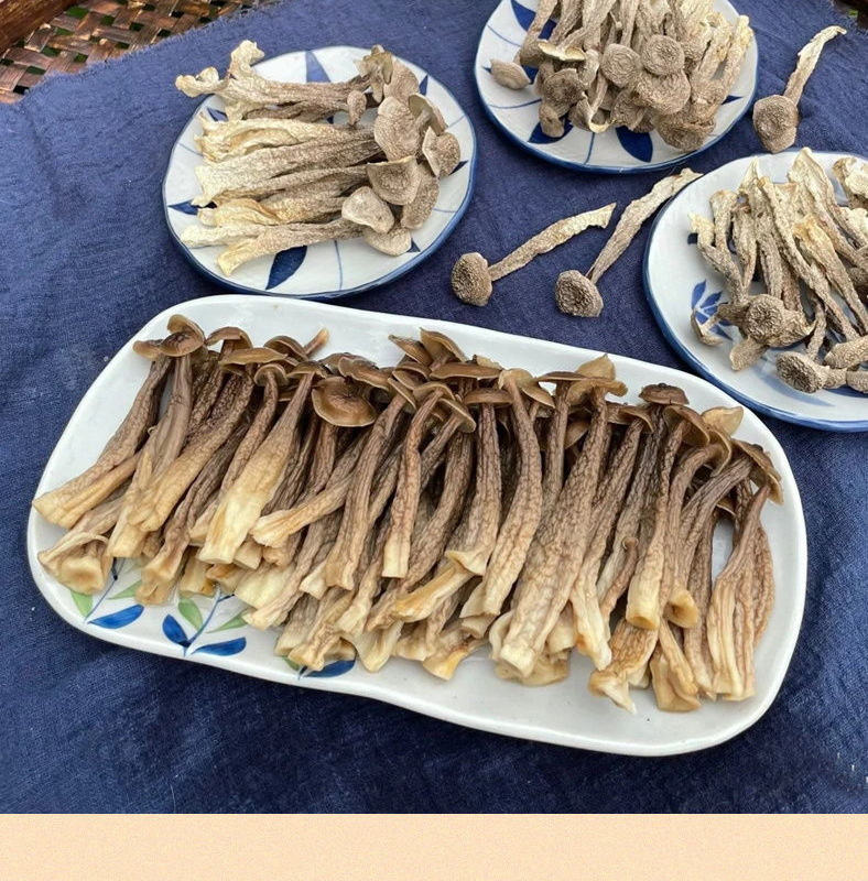云南特产鹿茸菇干货500克鹿茸菌干食用菌菇批发代发