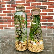 观赏鱼生态瓶微景观免换水diy水族箱办公桌面创意造景斗鱼玻璃缸