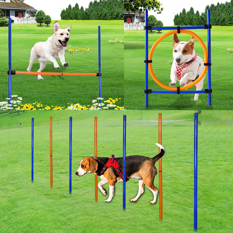 宠物训练器  狗狗跳环跳圈  绕桩 跳高跳杆  狗狗敏捷度运动器材