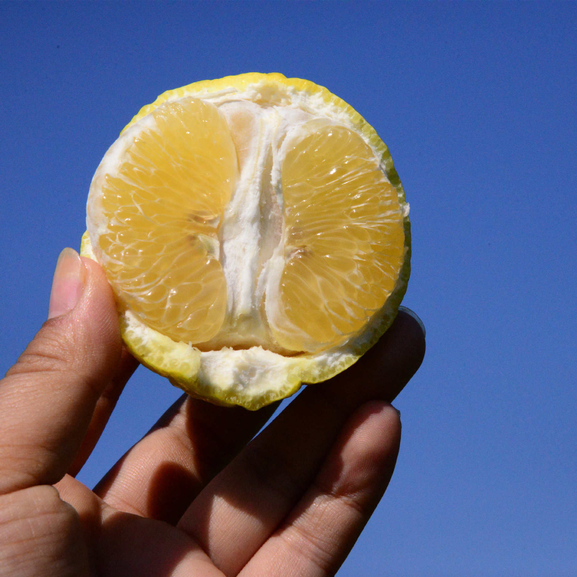 怀化黄金贡柚新鲜水果象山青雪峰小10斤单品食用农产品湖南省