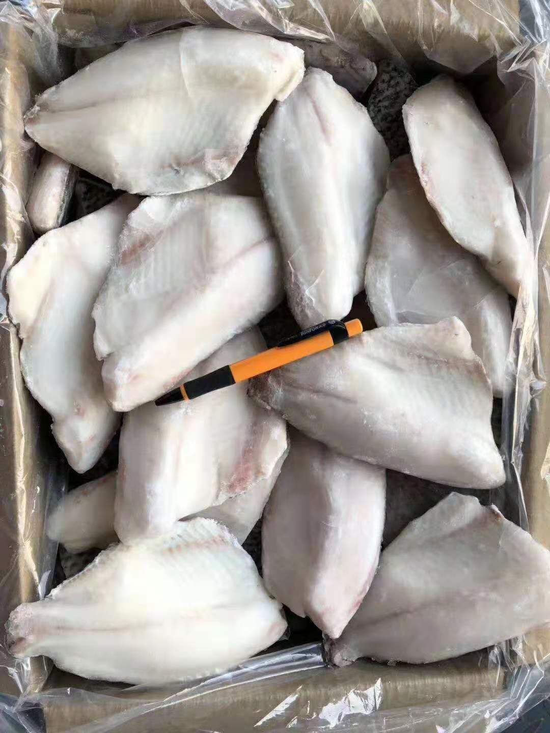 带皮鲷鱼片冷冻罗非鱼片新鲜生鱼片 小烤鱼饭酒店餐厅食材