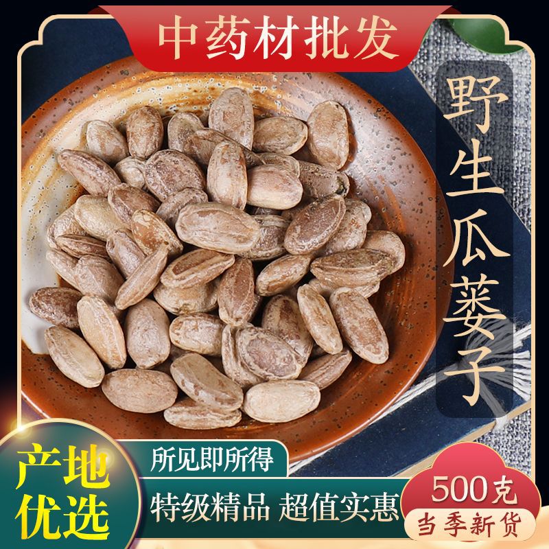 中药材店铺 瓜蒌子 栝蒌实 瓜蒌仁 精选 实体店批发
