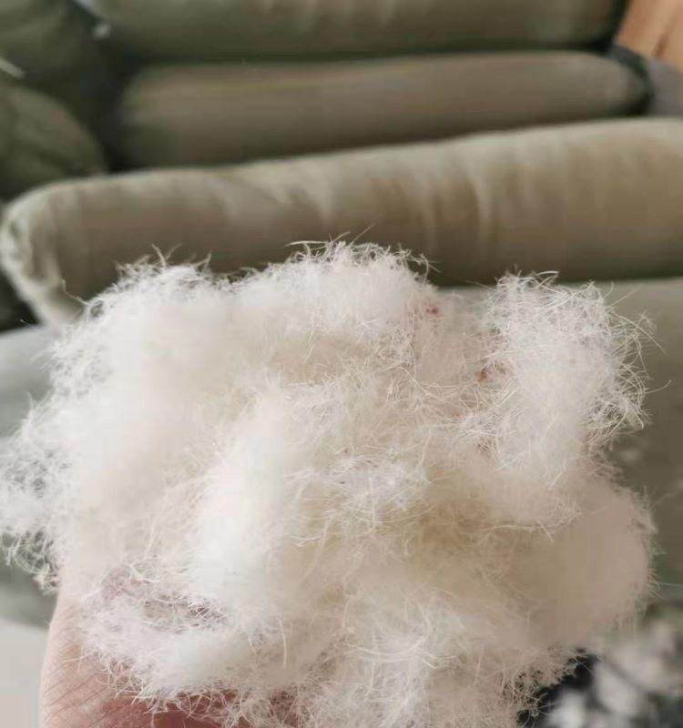 羽毛,羽绒今日报价走势分析-大量2530cm装饰饰品羽毛-阿里巴巴