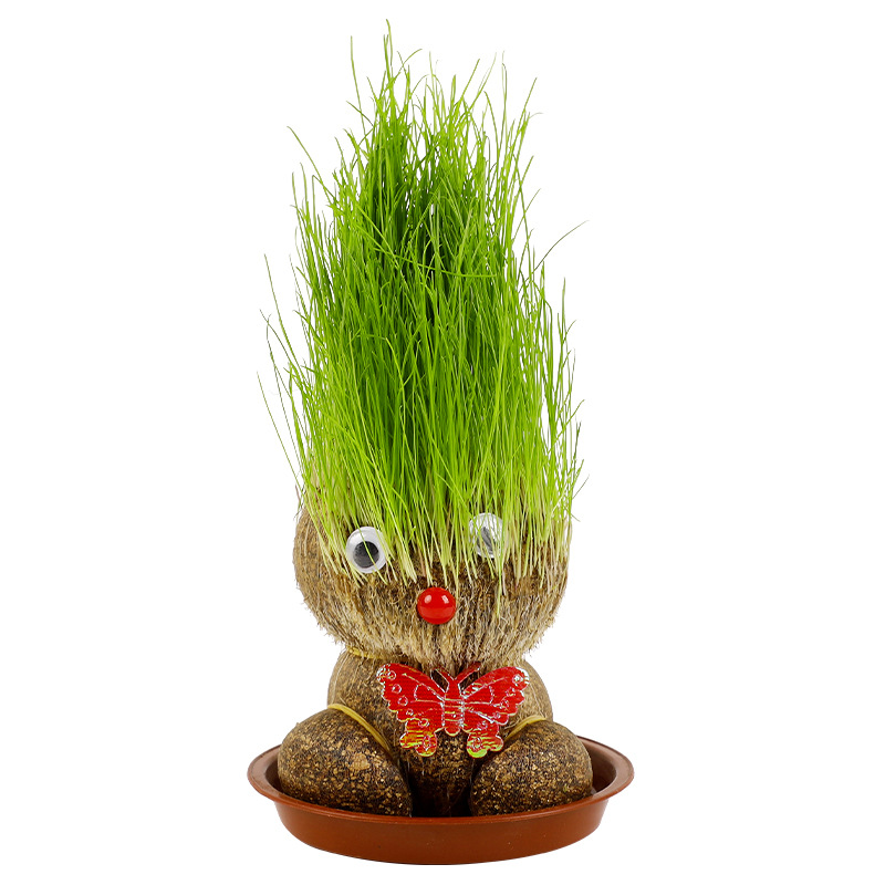 Big Eye Toothed Burclover Doll Creative Small Green Plant Indoor Potted Plant Kindergarten Children Hand Planting Small Gift