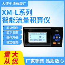 批发XM-L系列智能流量积算仪 流量累积数显表 数字显示仪表现货