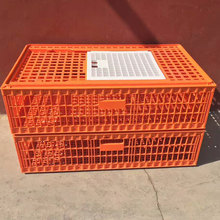 新式成鸡运输笼 成鸡转运笼价格 装鸭用塑料笼 装鸡用大鸡笼子