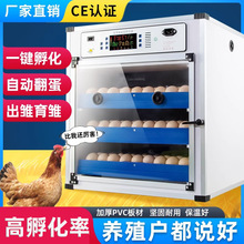 鸡蛋孵化器芦丁鸡孵蛋器 鸽子小鸡孵化机自动家用孵化养殖设备