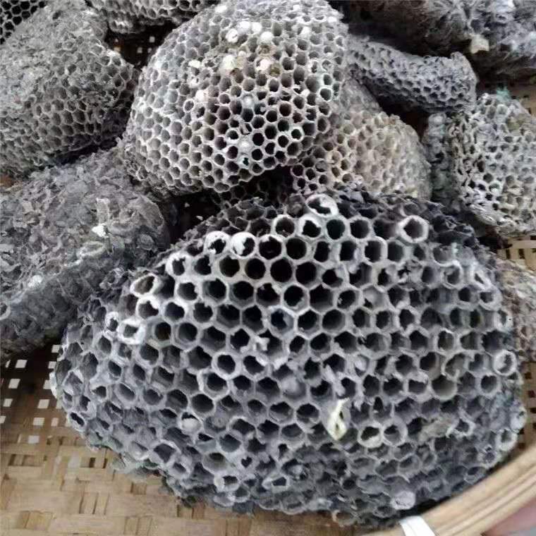 中药材蜂房 山蜂房 马蜂窝 蜂巢 蜂窝 大黄蜂窝250g