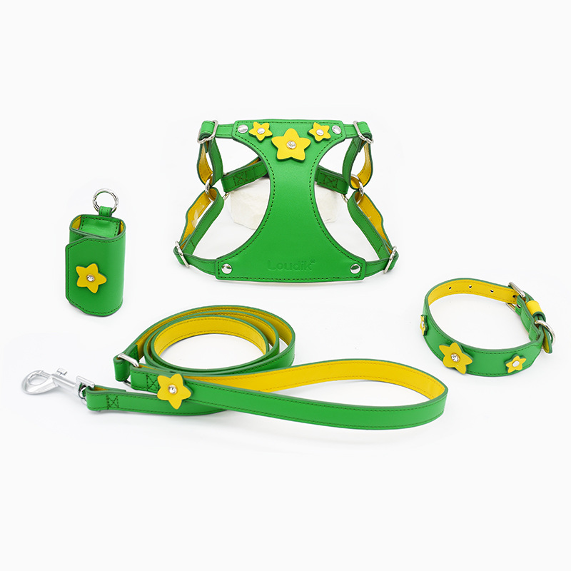 批发原创七彩花可爱猫咪狗狗胸背带牵引绳牵引带项圈宠物用品跨境