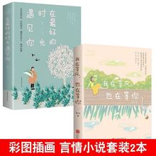 我在等风 也在等你 一本洗涤心灵 遇见爱情的书 青春过往 温馨爱