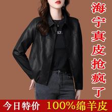 海宁皮衣女士上衣 2024新款 小个子短款时尚绵羊皮女款皮夹克外套