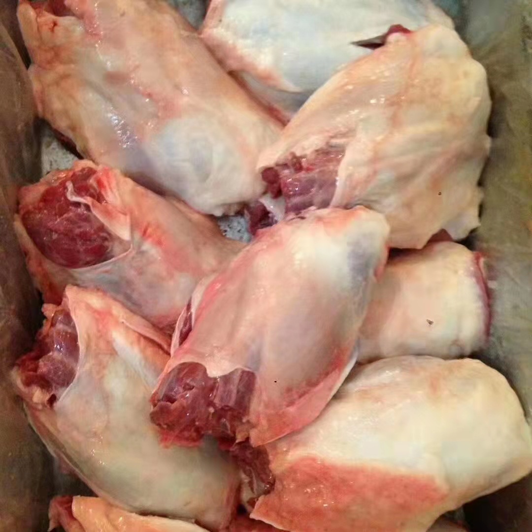 厂家批发冻猪腱子肉 前腱 后腱 龟腱 猪连体后腱 龟肉 冷冻猪腱肉