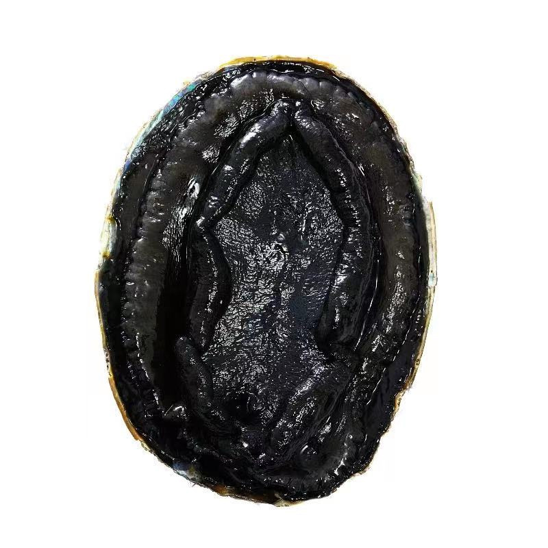 黑金鲍鱼300g 澳洲鲍鱼刺身 酒店冷冻海鲜食材清蒸黑边鲍鱼