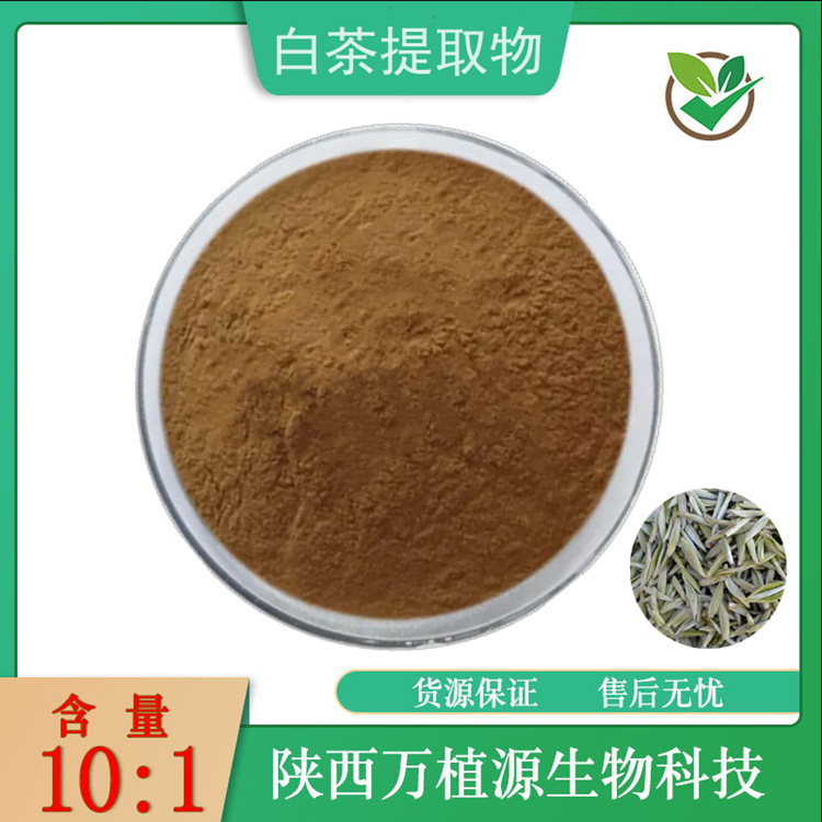白茶提取物10:1 白茶粉 茶多酚 茶叶提取物 量大从优