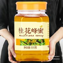 农家天然野桂花蜂蜜 500g 自然成熟蜂蜜口感清新甜润瓶装冲饮食品