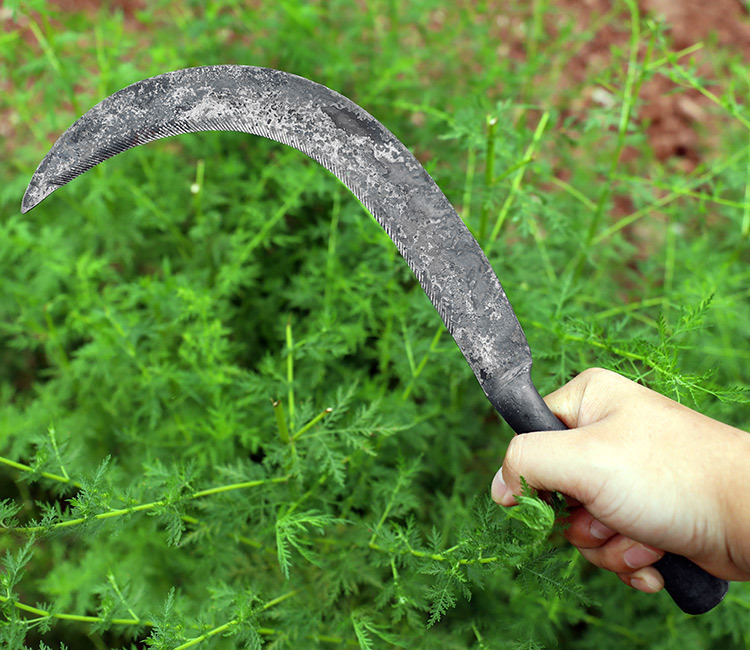 锻打齿镰刀农用除草刀割稻谷收割麦子带齿镰割草刀小锯镰锄草刀禾