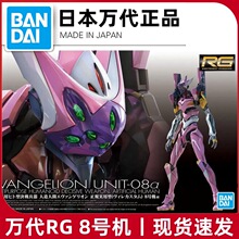 现货  RG EVA 8号机 八号机 α 真希波 福音战士 破 拼装模型